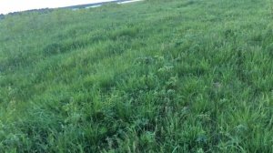 EDgun Matador 6.35 psp стрельба на 50 метров  С КОЛЕНА