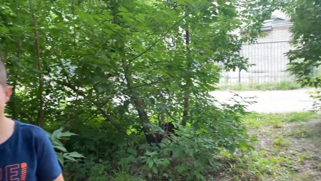 Мини-сериал "История смерти" 3-я (ФИНАЛЬНАЯ ЧАСТЬ) смотреть онлайн