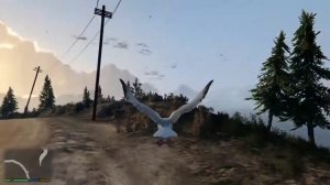 🎮 GTA 5, превращение в Чайку