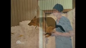 Отвращение Хухтара 0 [RYTP]