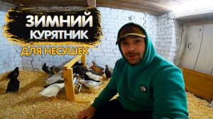 В ТАКОМ КУРЯТНИКЕ НЕСУШКИ НЕ ЗАМЕРЗНУТ В -30! Теплая подстилка, кормушки для 26 цыплят своими руками