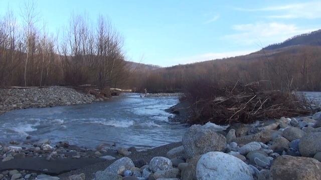 ЦИРК на воде или ПшехА 2020