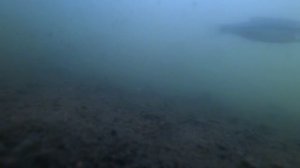 Рыбалка на поплавок и подводная охота