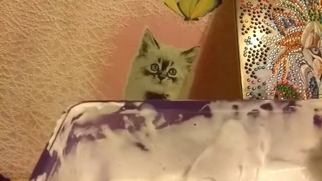 Простой Слайм смотреть онлайн