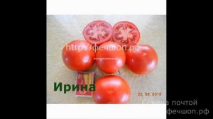 Ранние, низкорослые сорта для открытого грунта  Что посадить в 2019 год