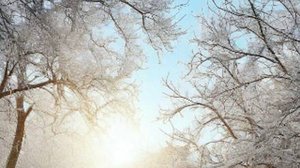 Душевные истории, - Загадочные виражи жизни...