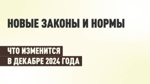 Списание долгов по кредитам участникам СВО и въезд в РФ по биометрии: что изменится в декабре 2024