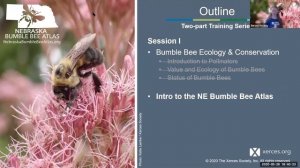 Nebraska Bumble Bee Atlas Training I: Bumble Bee Ecology, Conservation, and an Intro to the NE BBA