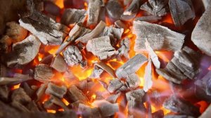 Работа в тайге (переиздание) ｜ Страшные истории