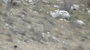 Таха. Сарандинакина балка (поиск в природной среде)