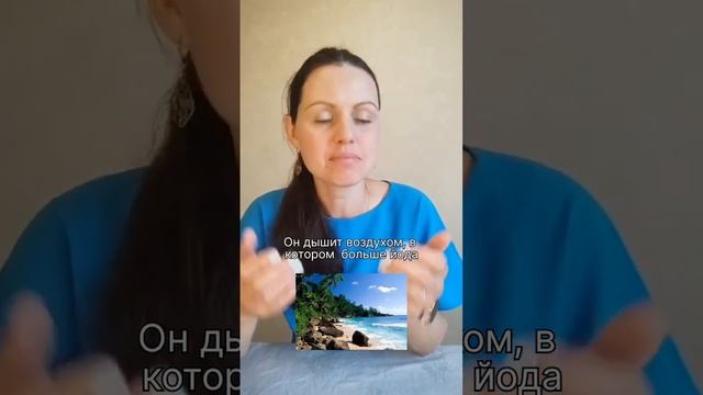 Почему жизнь в приморском районе защищает от дефицита йода? #эндокринолог  #превентивнаямедицина