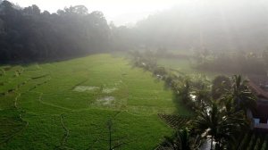 5333676-uhd_3840_2160_30fps