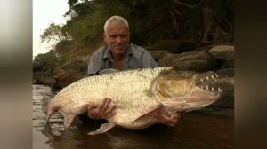 топ 5 самых опасных рыб