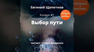 Евгений Щепетнов – Выбор пути. [Аудиокнига]