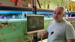 Устройство 200 литрового аквармума для дискусов . полный разбор