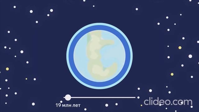 Что умеют делать бактерии?