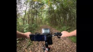 TSDZ2B tongsheng 52V 750 Watt mid drive electric bike mid drive motor. Talking about some friends.