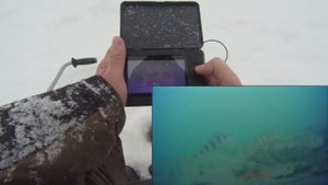 НАШЛИ БОЛЬШУЮ КОЛОНИЮ ОКУНЯ. ЛОВЛЯ АКТИВНОГО ОКУНЯ СО ЛЬДА. СТАДА ОКУНЯ