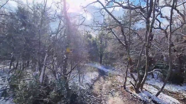 ИДЕМ В ПОХОД, МОЯ ЭКИРИРОВКА, ВОСПОМИНАНИЯ, СНЕЖНЫЙ ЛЕС!:)❄🌨 УБРАЛИ МУСОР В КЕМПИНГЕ!:)🌎 ЧАСТЬ 1