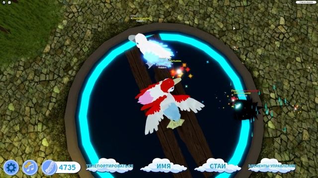 Птица ТУПИК СЕМЬЯ ПТИЦ РОБЛОКС (ОБНОВЛЕНИЕ) ROBLOX FEATHER FAMILY PUFFIN UPDATE