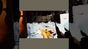 Стрельба из пневматической винтовки МР - 512 36