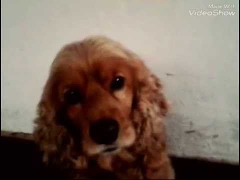 Знакомство смотреть онлайн