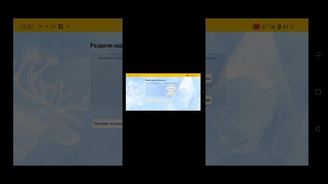 делаю уроки