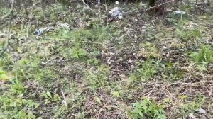 Находки с обочины дороги. Сдаем вторсырье в Республике 🇧🇾