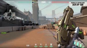 Protocol 781-A Phantom Skin Showcase - Valorant Protocol 781-A Skins