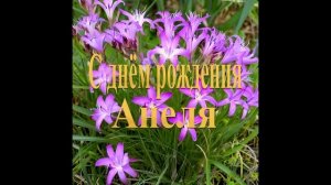 С днём рождения Анеля