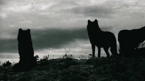 Advent Sorrow - 2017 - Pestilence Shall Come