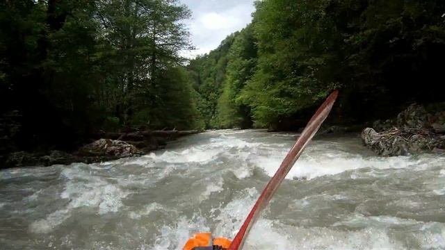" В каждой бочке затычка..." или Пшеха 2017
