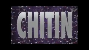 Жасушаның органикалық заттары: полимерлер мен мономерлер.  8 сынып. 2-бөлім. Молекулалық биология