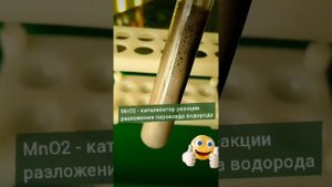 Катализатор и скорость химической реакции