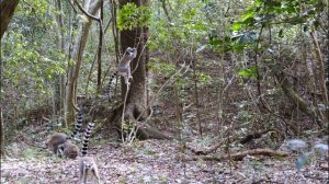 3765248-uhd_3840_2160_30fps