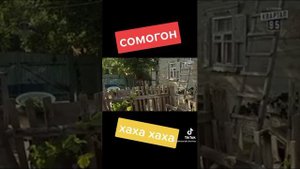 🤣🤣🤣байки Митяя