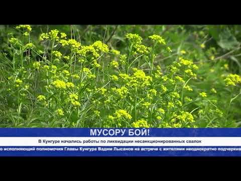 Кунгур.ТВ 02 06 2020 В Кунгуре начались работы по ликвидации несанкционированных свалок