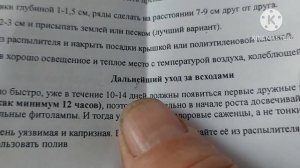 Семена картошки сынок