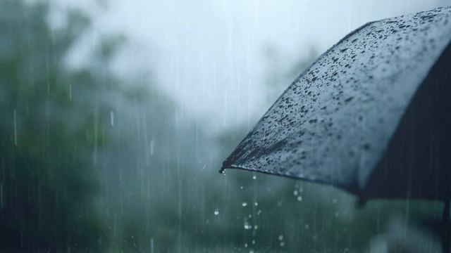 HEAVY RAIN Umbrella Chronicles: Heavy Rain for a Serene Night's Sleep ☔🌙 смотреть онлайн