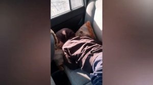 Дача своими руками. 02.05.2021г