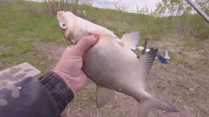 УБРАЛ ПОПЛАВОК, ДОСТАЛ ФИДЕР И НАЧАЛ ЛОВИТЬ. ПОШЛА РАЗДАЧА ЛЕЩА НА РЕКЕ