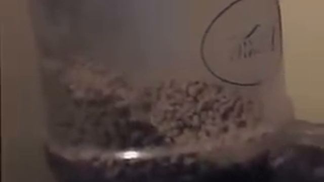 Odun sobasını pelet sobasına dönüştürme girişimi video 6 смотреть онлайн