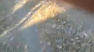 15102011022 Дебильные Лада Калина универсал и Лада Нива Трейвел!