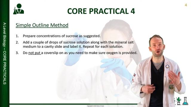 Core Practical Four - Effect of sucrose concentrations on pollen tube growth - A Level Biology смотреть онлайн