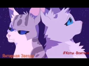 Коты-Воители Искра и Голубка - Оранжевое солнце