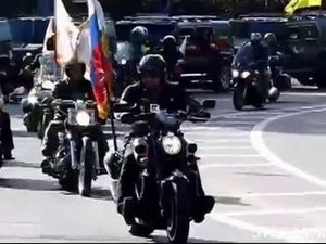 Алиса Инок, воин и шут