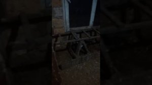 Кошка против крысы!!!//Страшная схватка//Переживал за кошку//