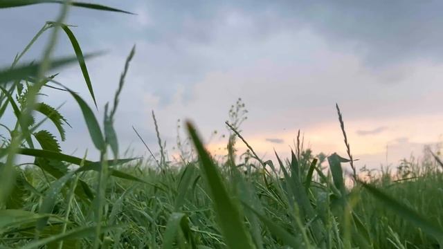 24 ЧАСА в ДОМЕ ШКОЛЬНИКА с ИРП РОССИИ! смотреть онлайн