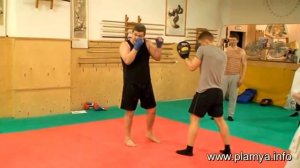 Боковой удар по лапам - Радислав Рева