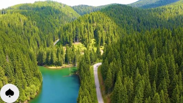 МЫСЛЬ В СЛОВЕ пословицы "О НУЖНОМ" № 8 смотреть онлайн